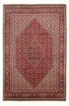 Perser Rug - Bidjar - 301 x 200 cm - red