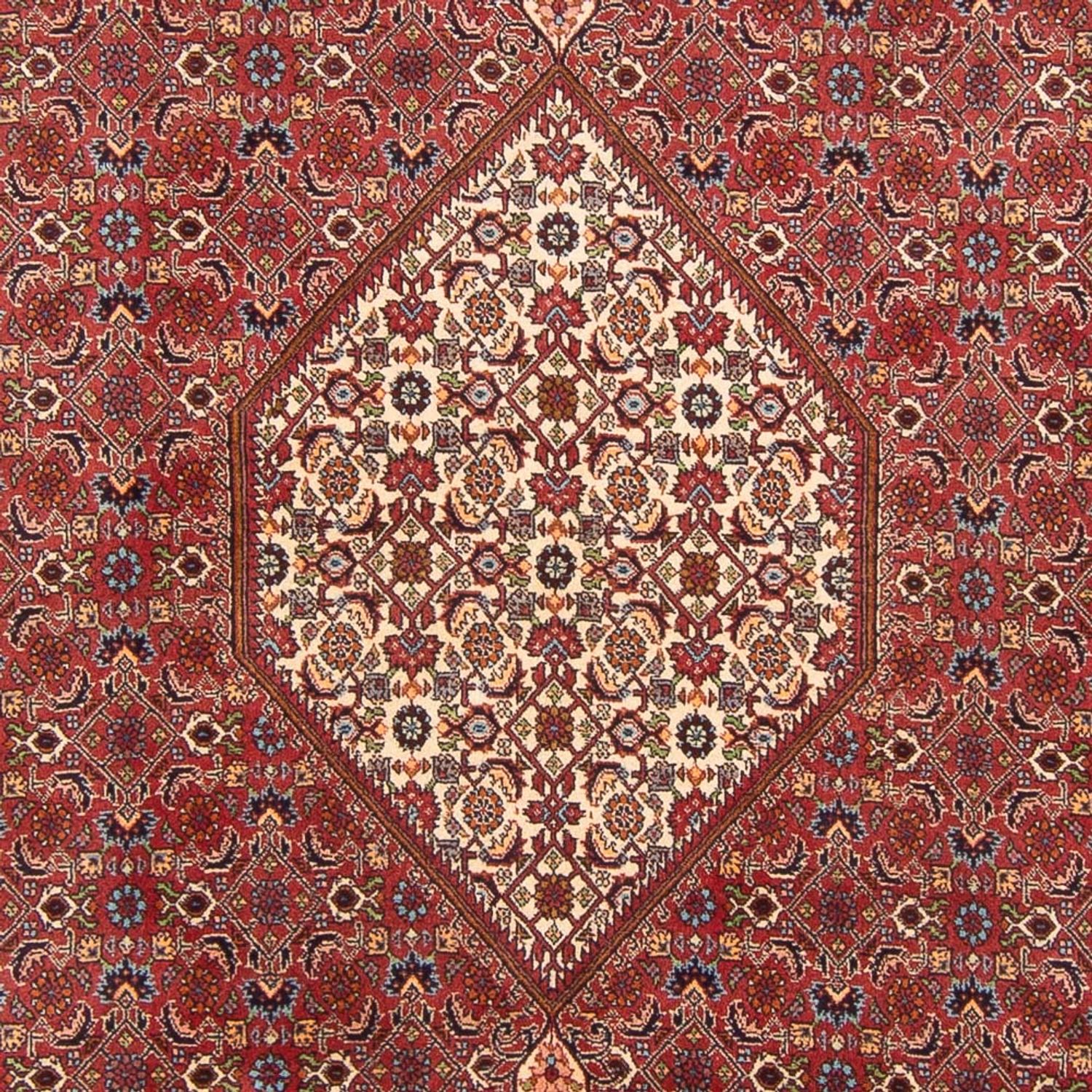 Perser Rug - Bidjar - 303 x 200 cm - red