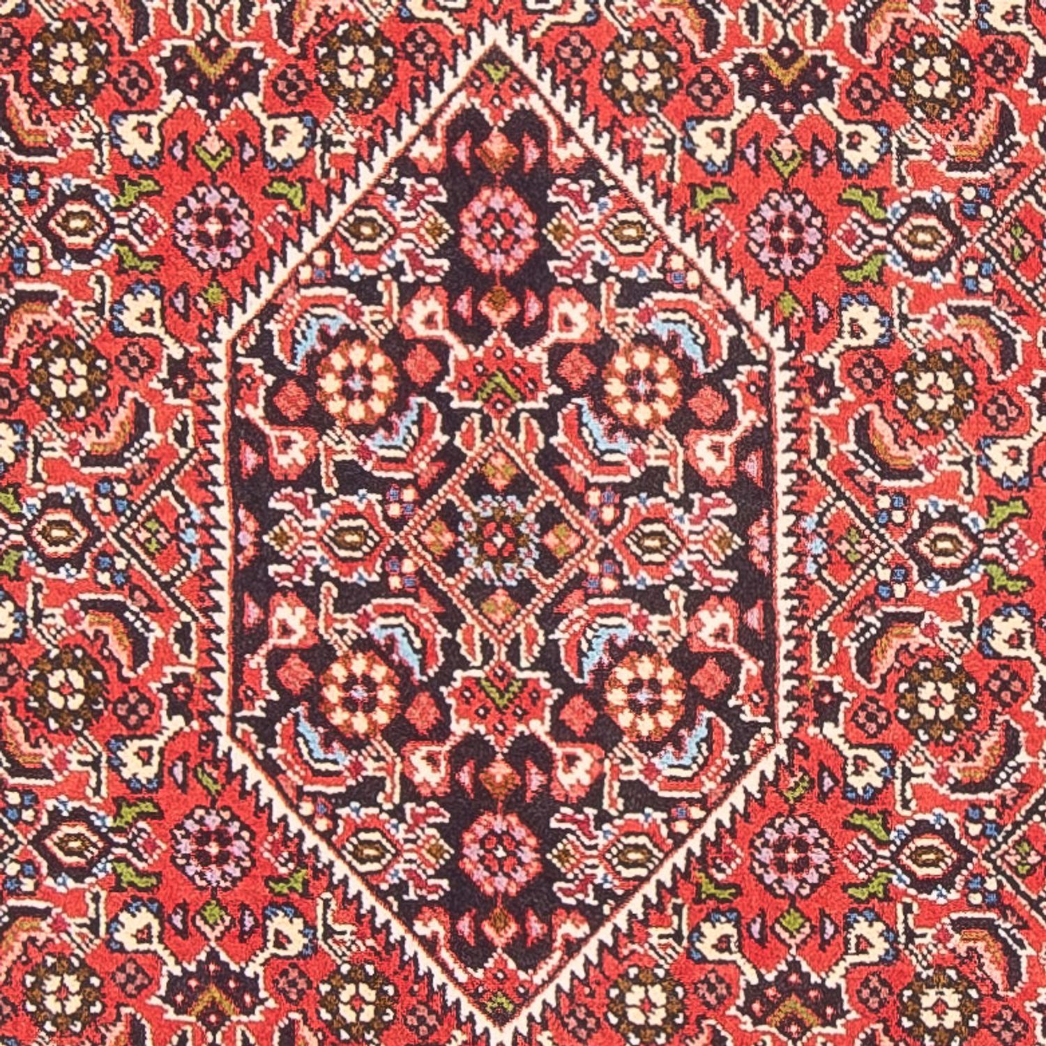 Perser Rug - Bidjar - 152 x 82 cm - red