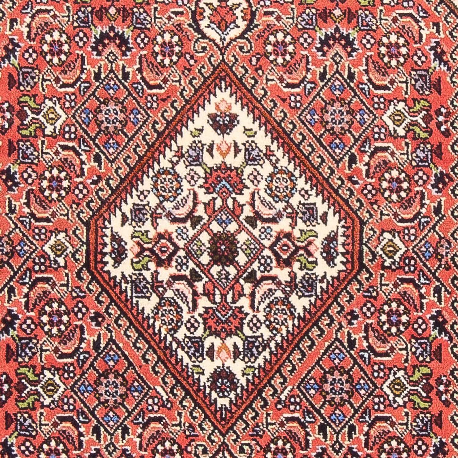 Perser Rug - Bidjar - 140 x 82 cm - red