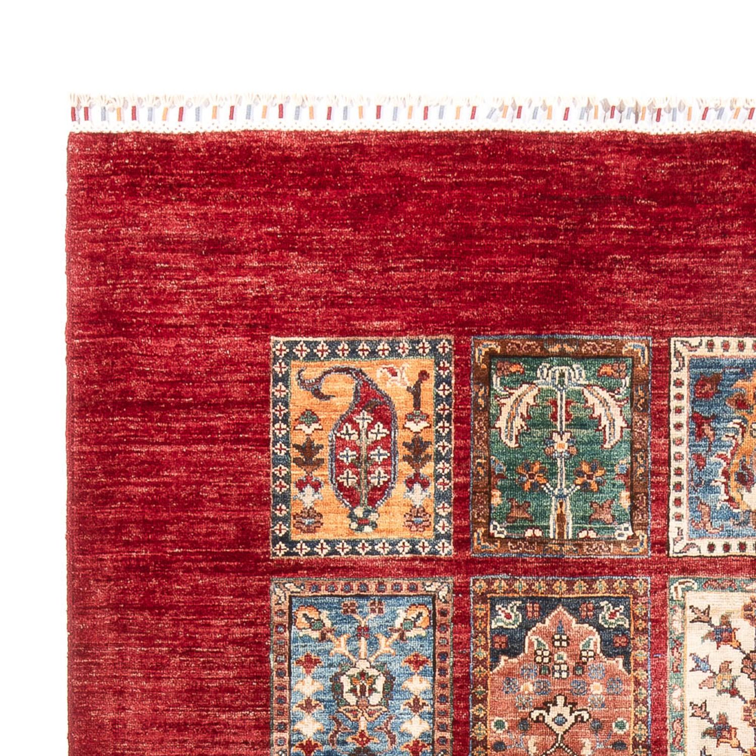 Ziegler Rug - Bakhtiari - 250 x 175 cm - multicolored