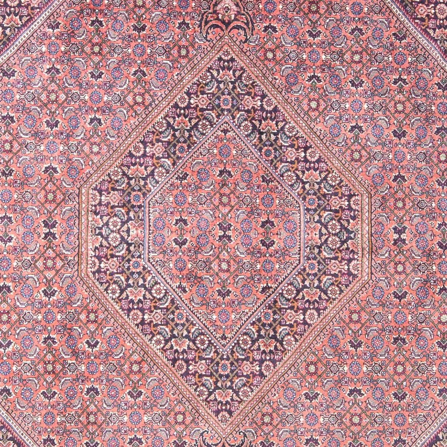 Perser Rug - Bidjar - 240 x 145 cm - light red