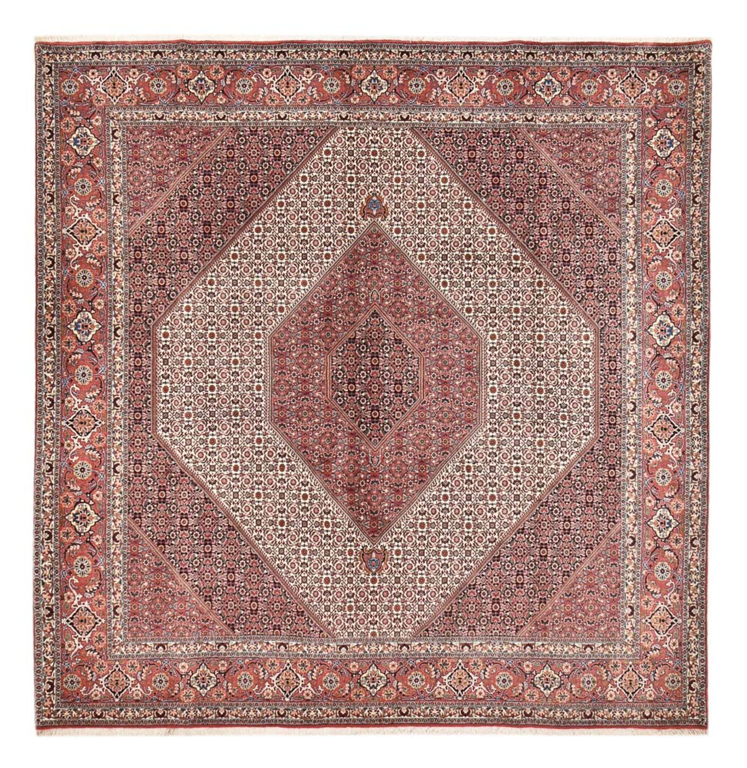 Perser Rug - Bidjar square  - 307 x 300 cm - rust