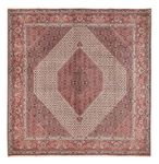 Perser Rug - Bidjar square  - 307 x 300 cm - rust