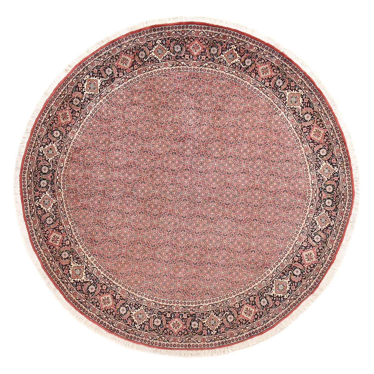 Perser Rug - Bidjar round  - 255 x 255 cm - light red