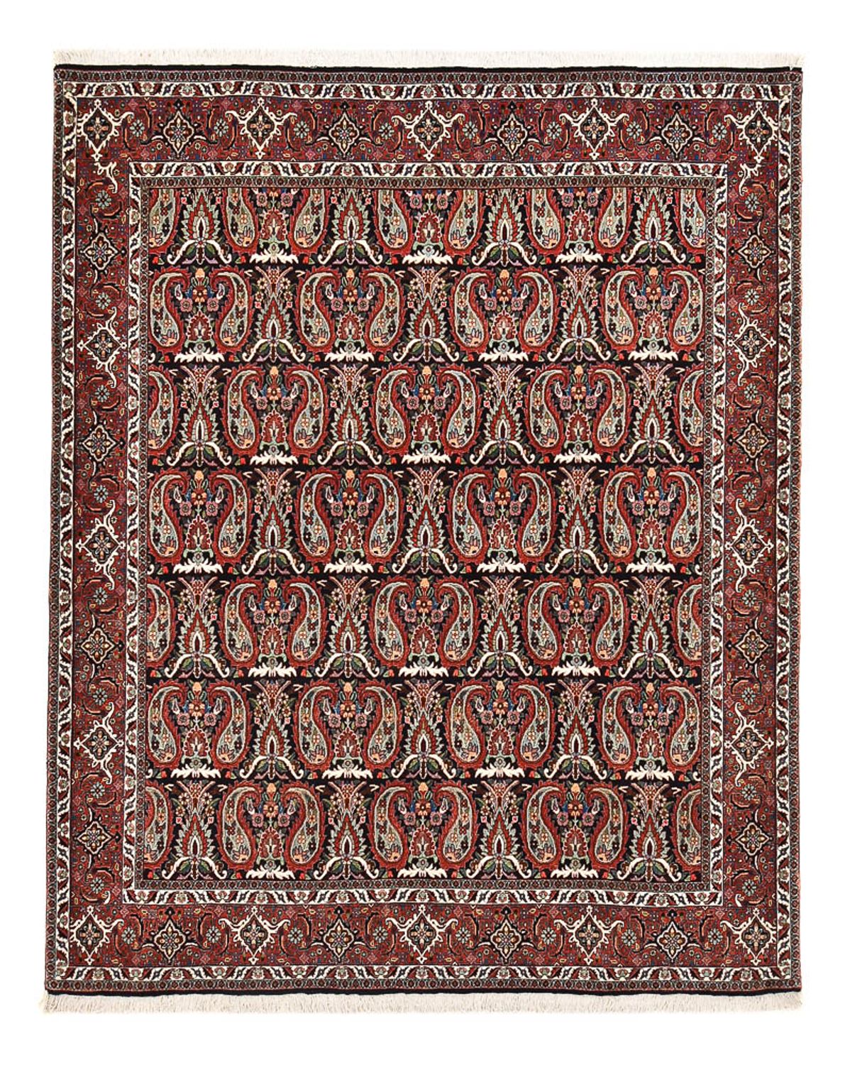 Perser Rug - Bidjar - 248 x 208 cm - rust