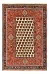 Gabbeh Rug - Kashkuli Perser - 260 x 172 cm - red