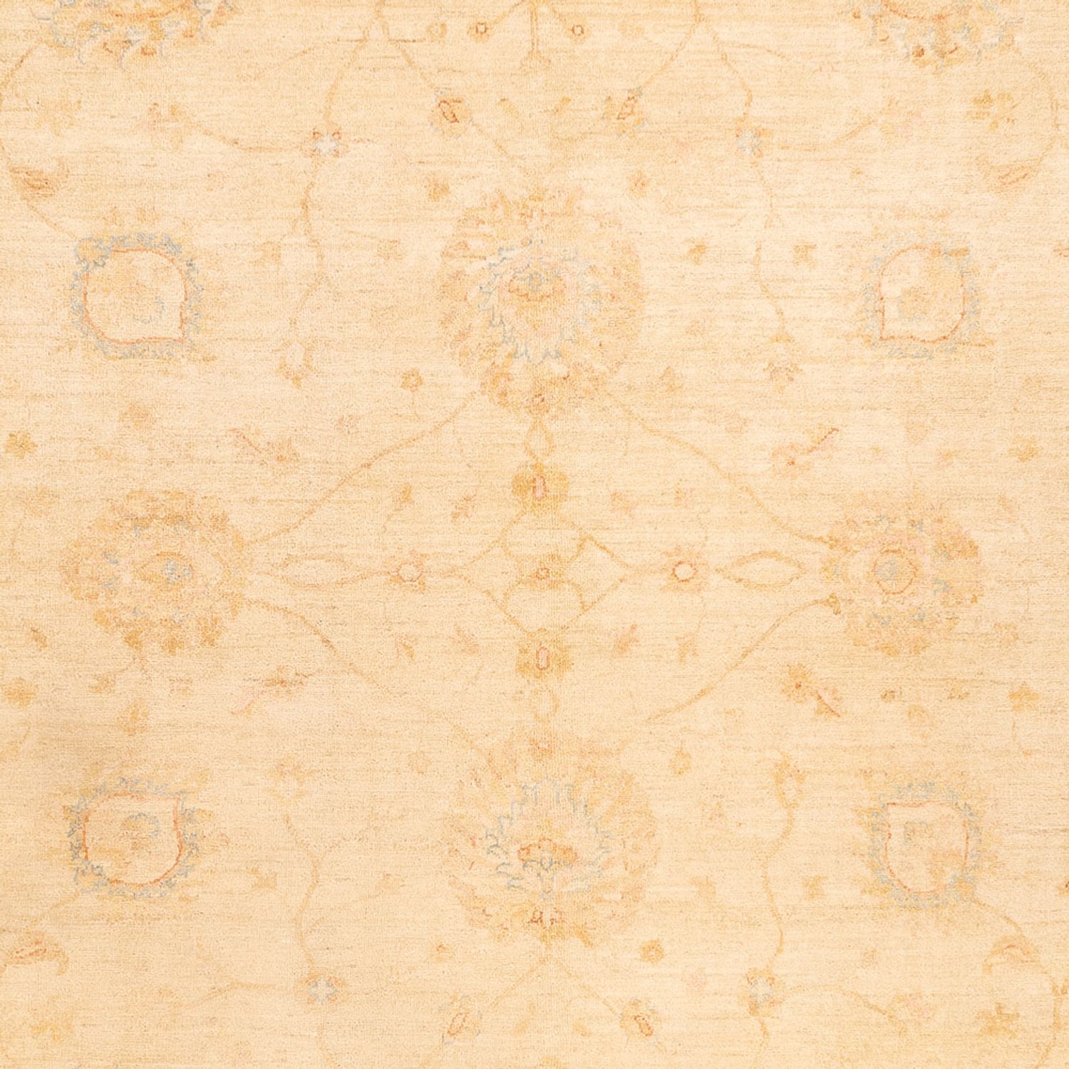 Ziegler Rug - 347 x 256 cm - beige