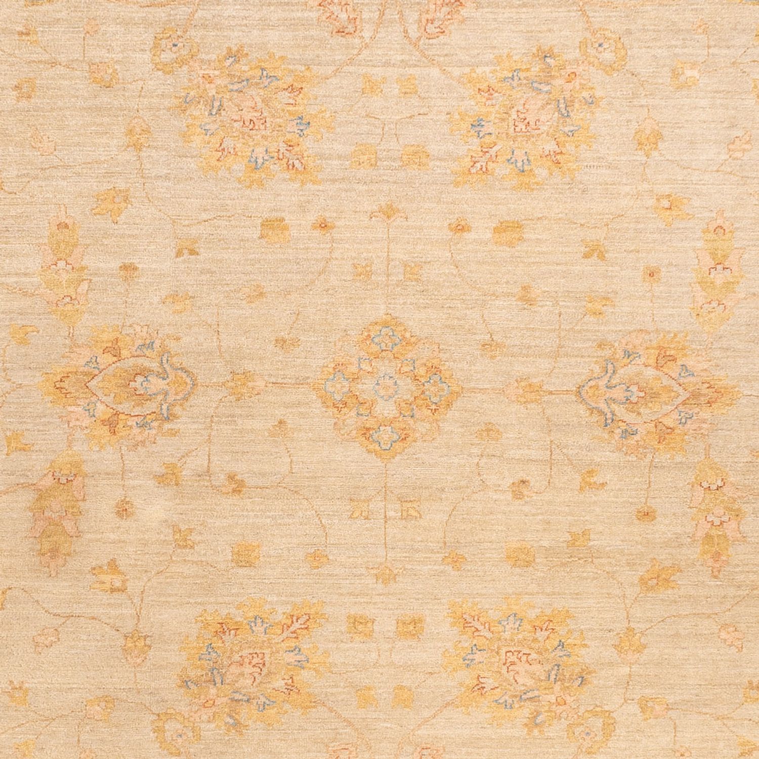 Ziegler Rug - 348 x 255 cm - beige