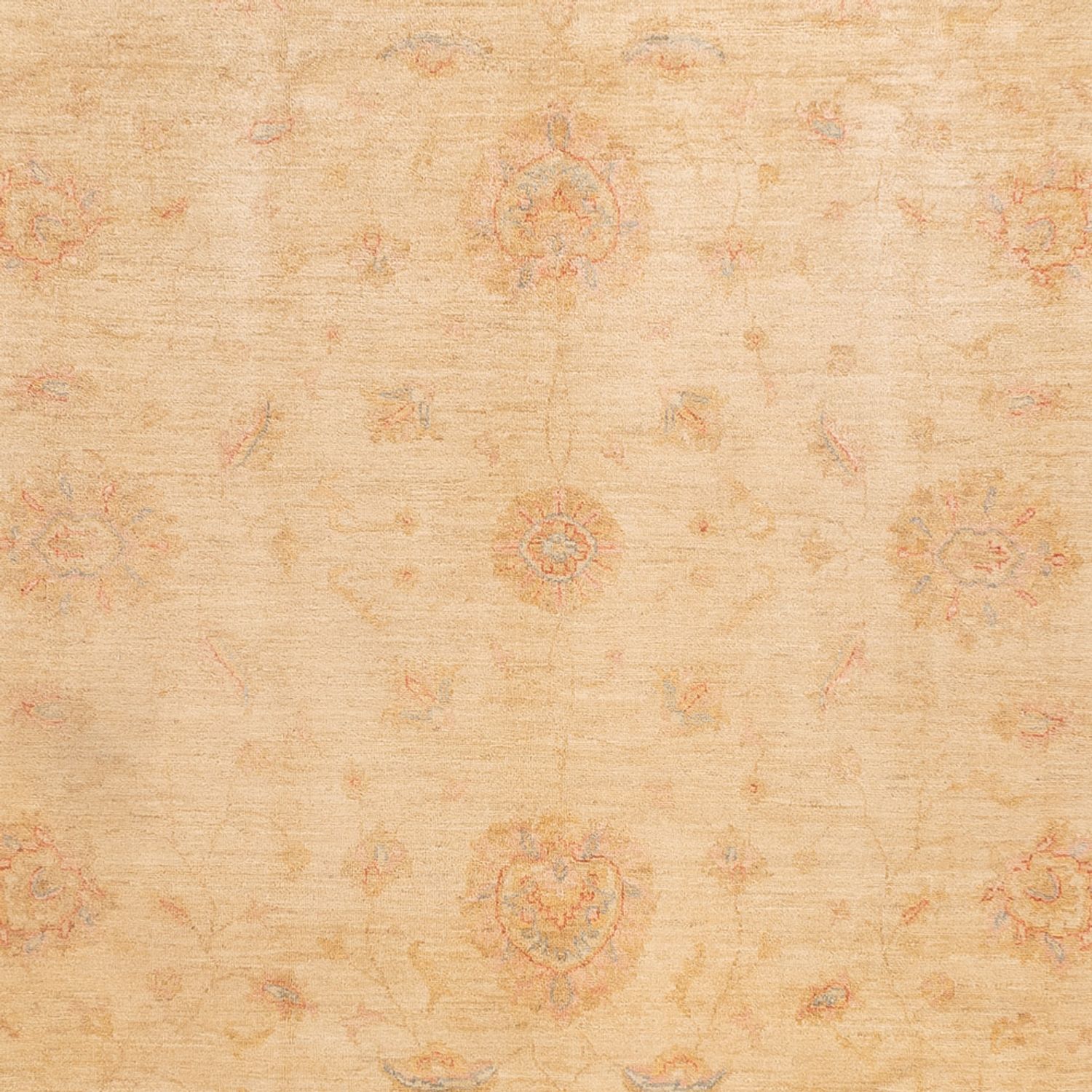 Ziegler Rug - 350 x 252 cm - beige