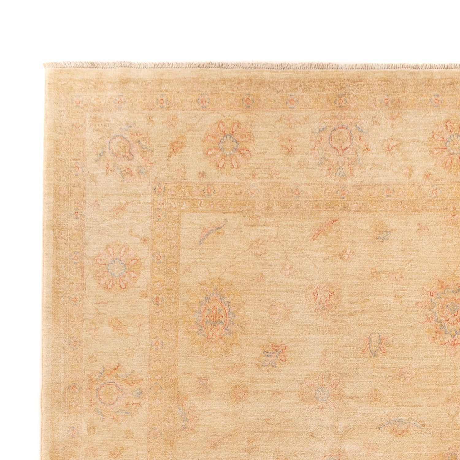 Ziegler Rug - 350 x 252 cm - beige