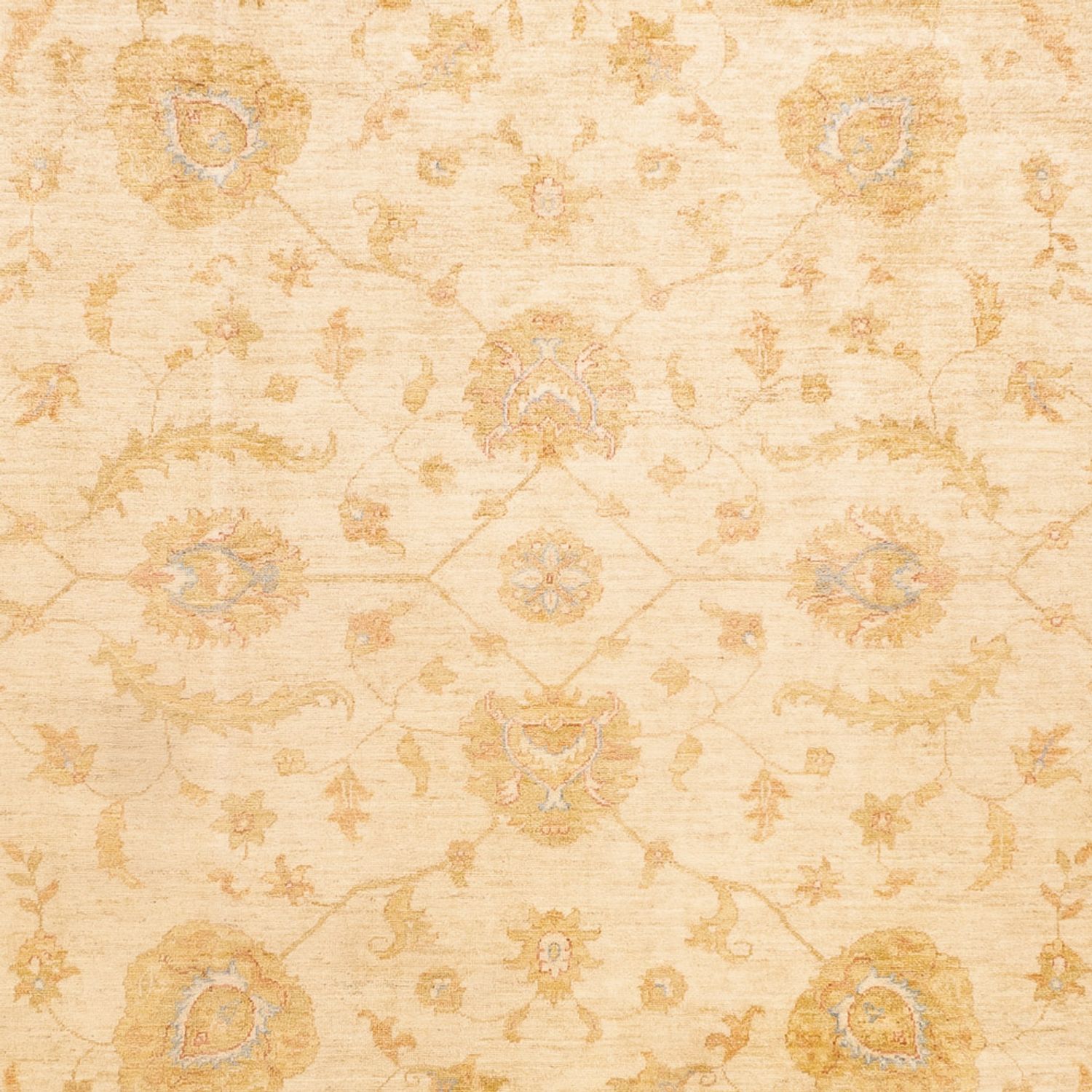 Ziegler Rug - 345 x 255 cm - beige