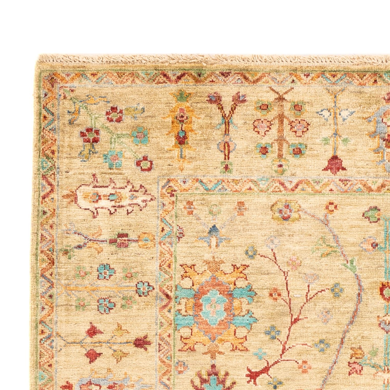 Ziegler Rug - Ariana - 179 x 125 cm - beige