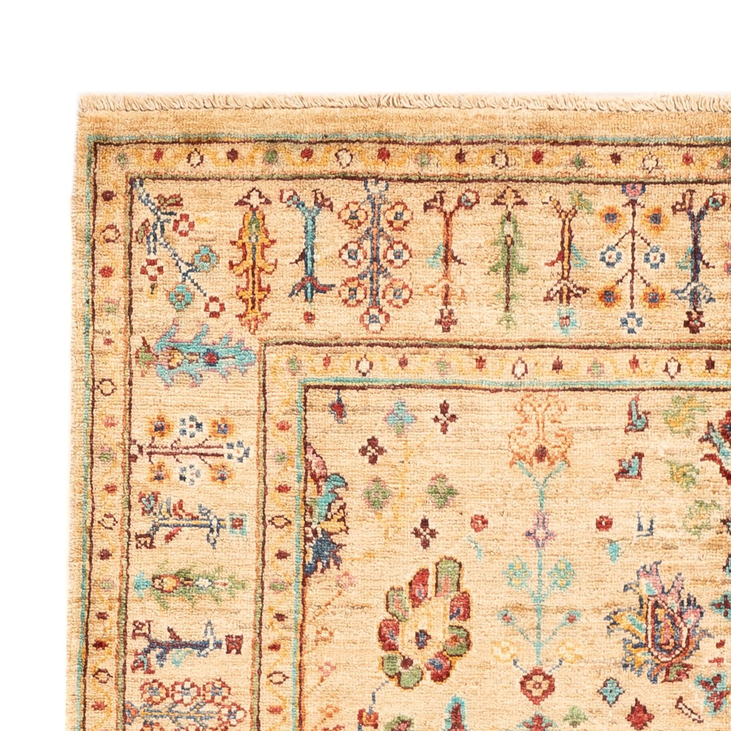 Ziegler Rug - Ariana - 179 x 120 cm - beige