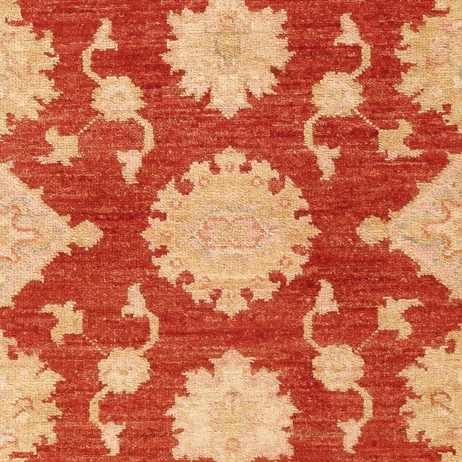 Runner Ziegler Rug - 197 x 87 cm - red