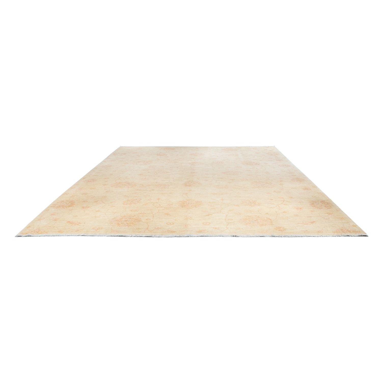 Ziegler Rug - 394 x 307 cm - beige