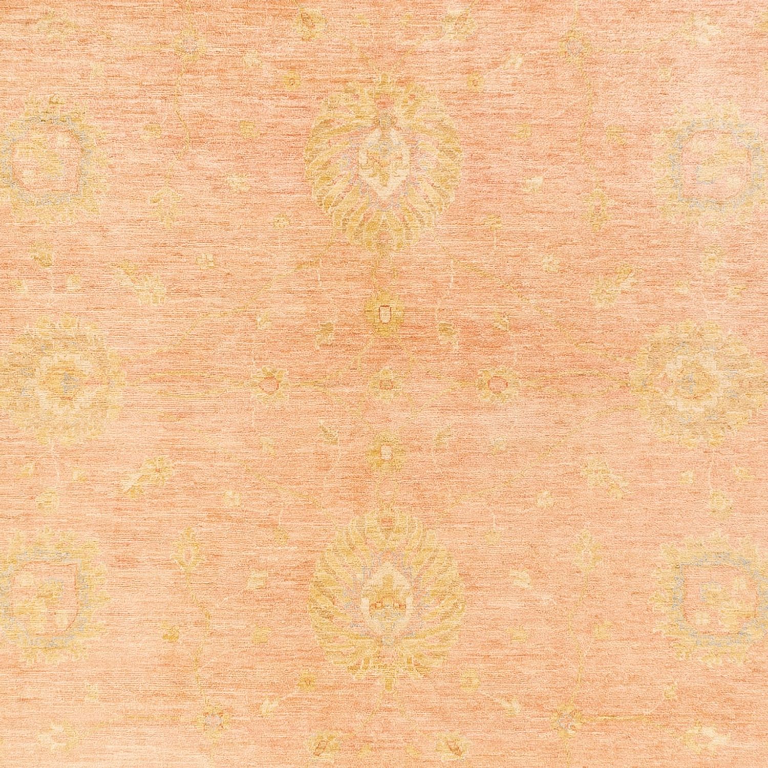 Ziegler Rug - 400 x 302 cm - beige