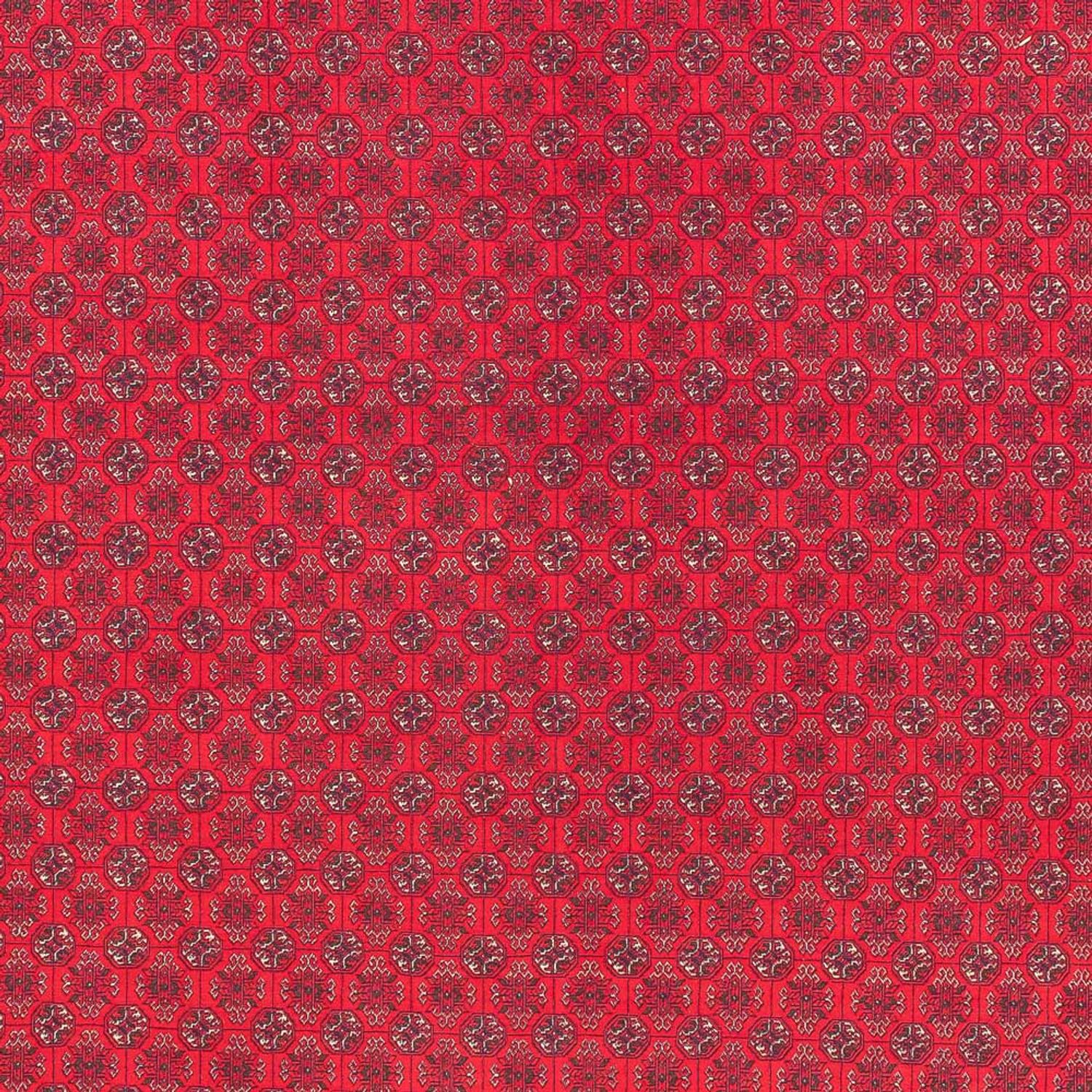 Afghan Rug - Royal - 395 x 294 cm - red