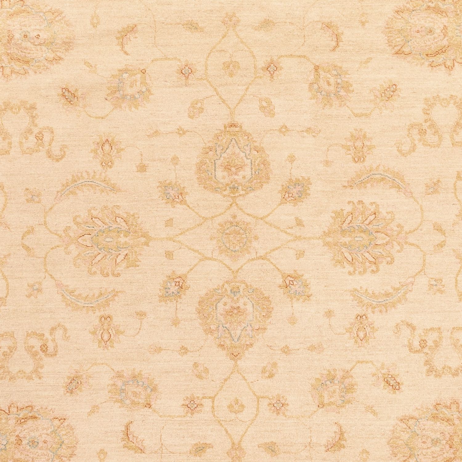 Ziegler Rug - 364 x 277 cm - beige