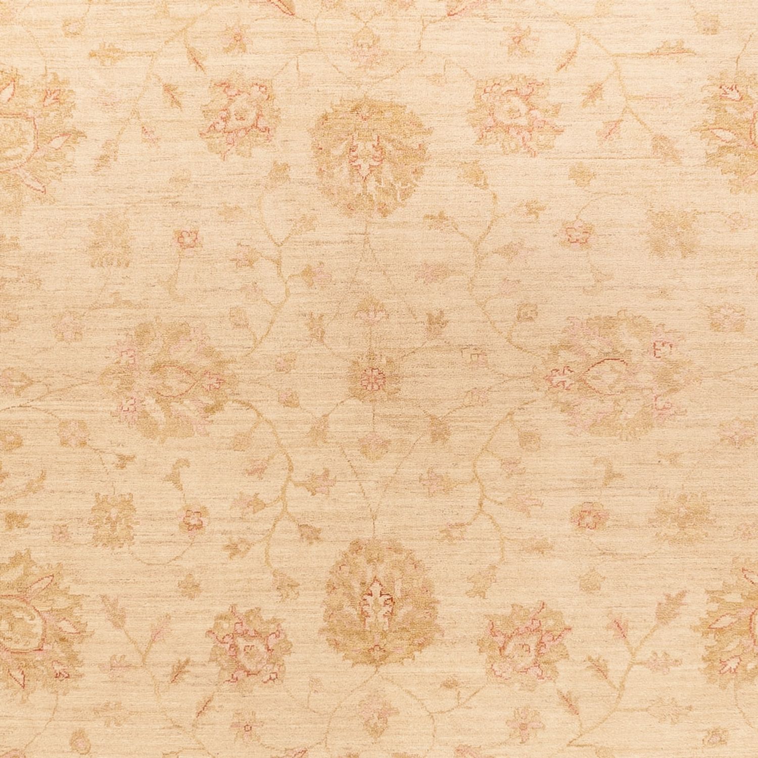 Ziegler Rug - 363 x 272 cm - beige