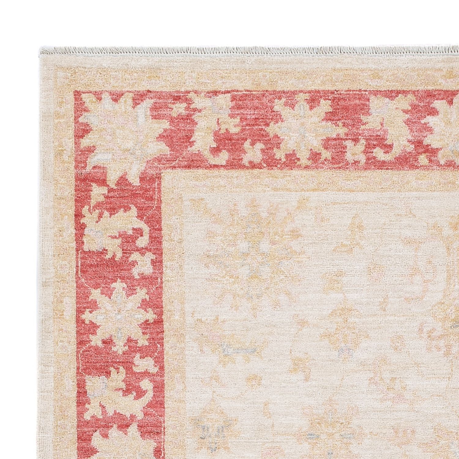 Ziegler Rug - 241 x 172 cm - cream