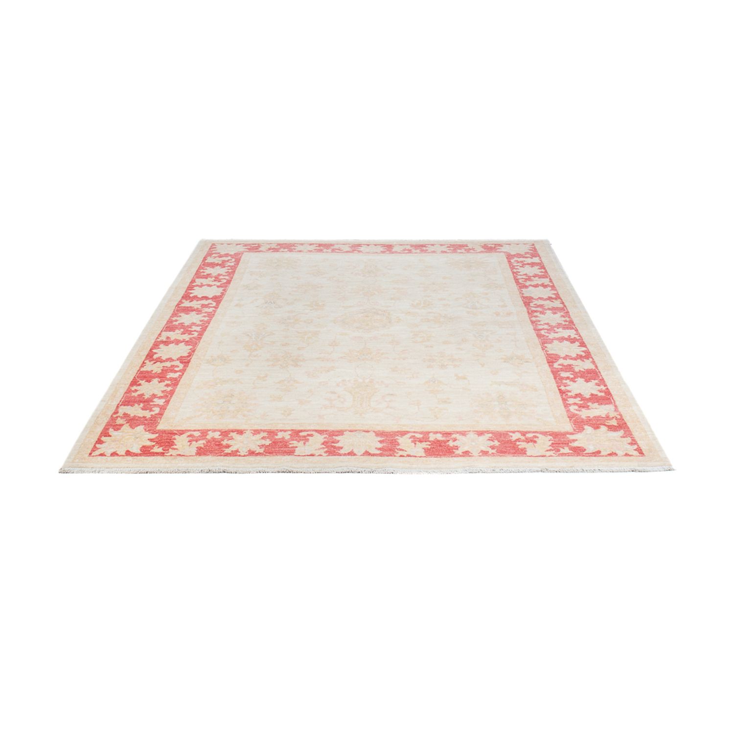 Ziegler Rug - 241 x 172 cm - cream