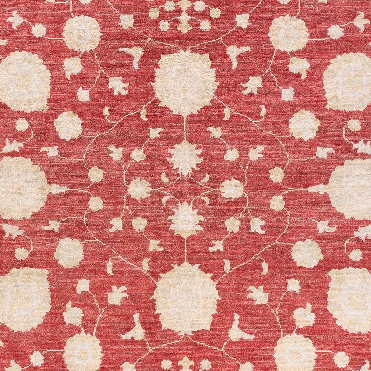 Ziegler Rug - 240 x 175 cm - red