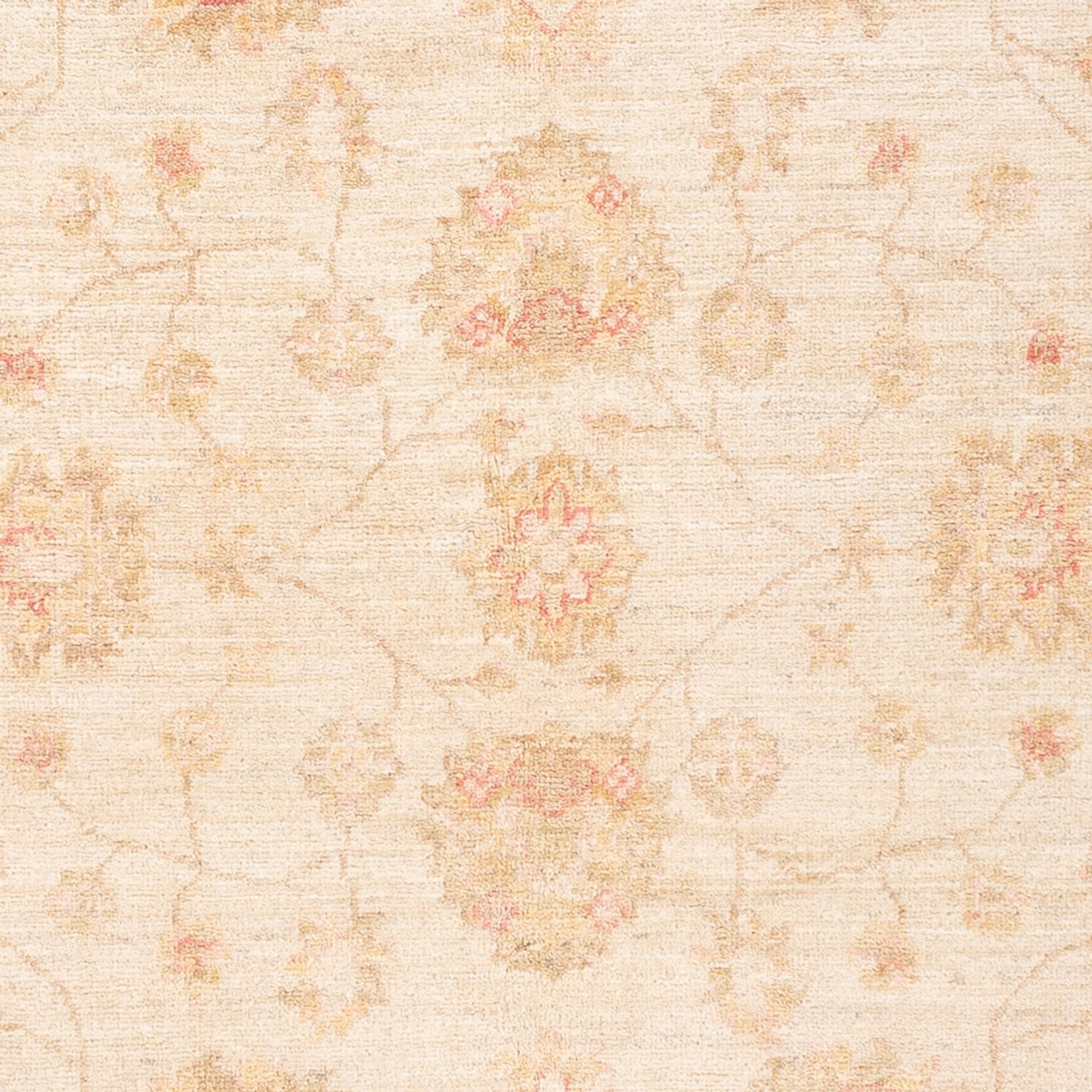 Ziegler Rug - 182 x 125 cm - natural white