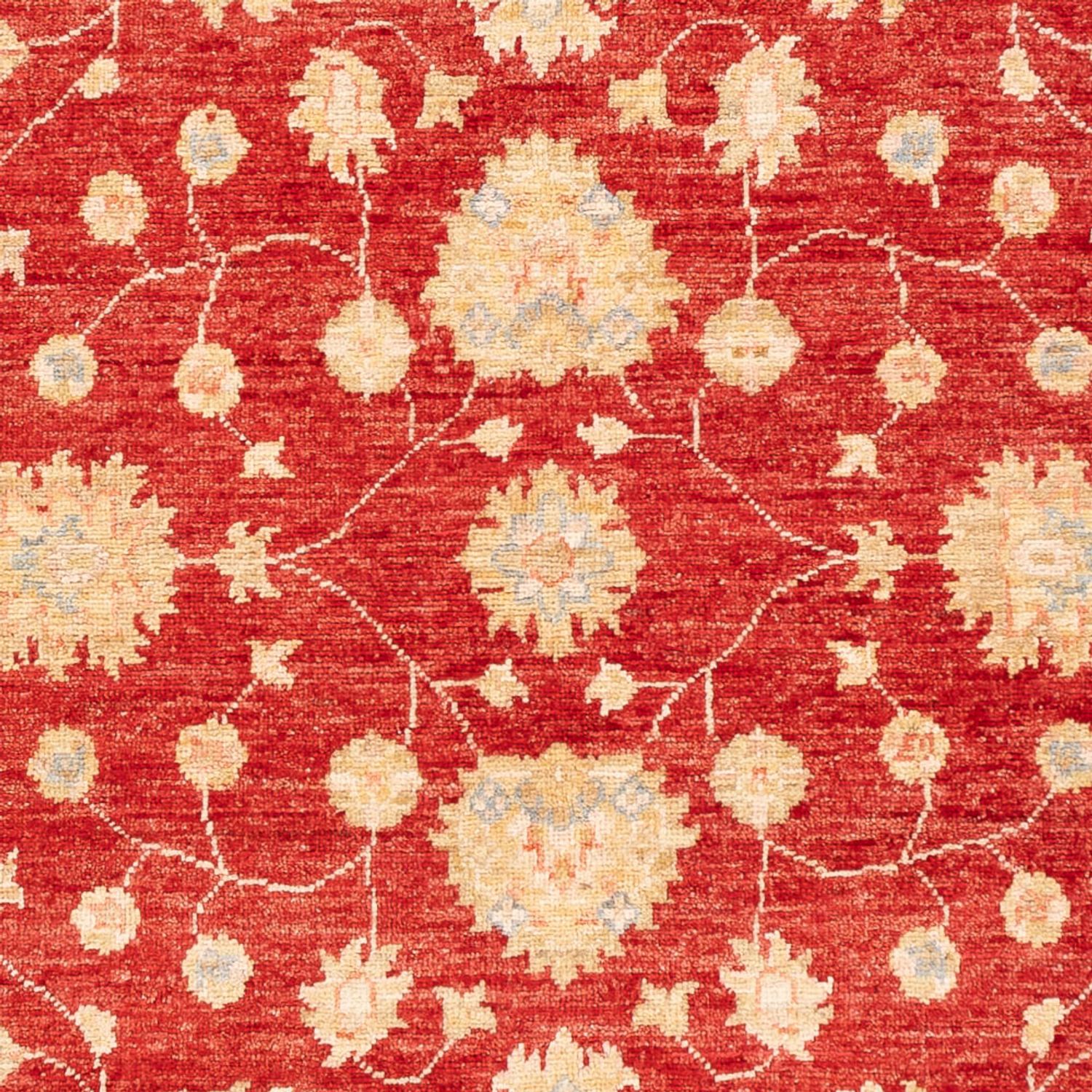 Ziegler Rug - 177 x 124 cm - red