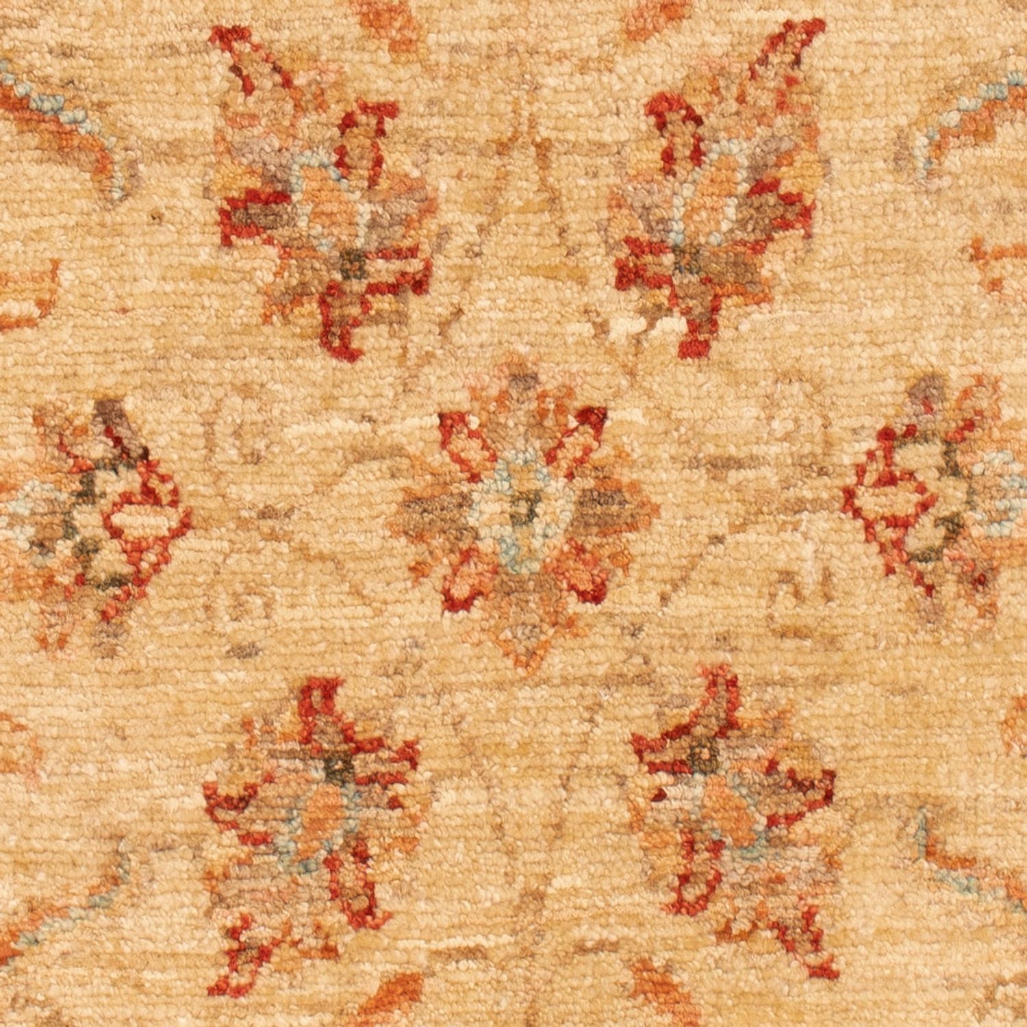 Ziegler Rug - 102 x 61 cm - beige