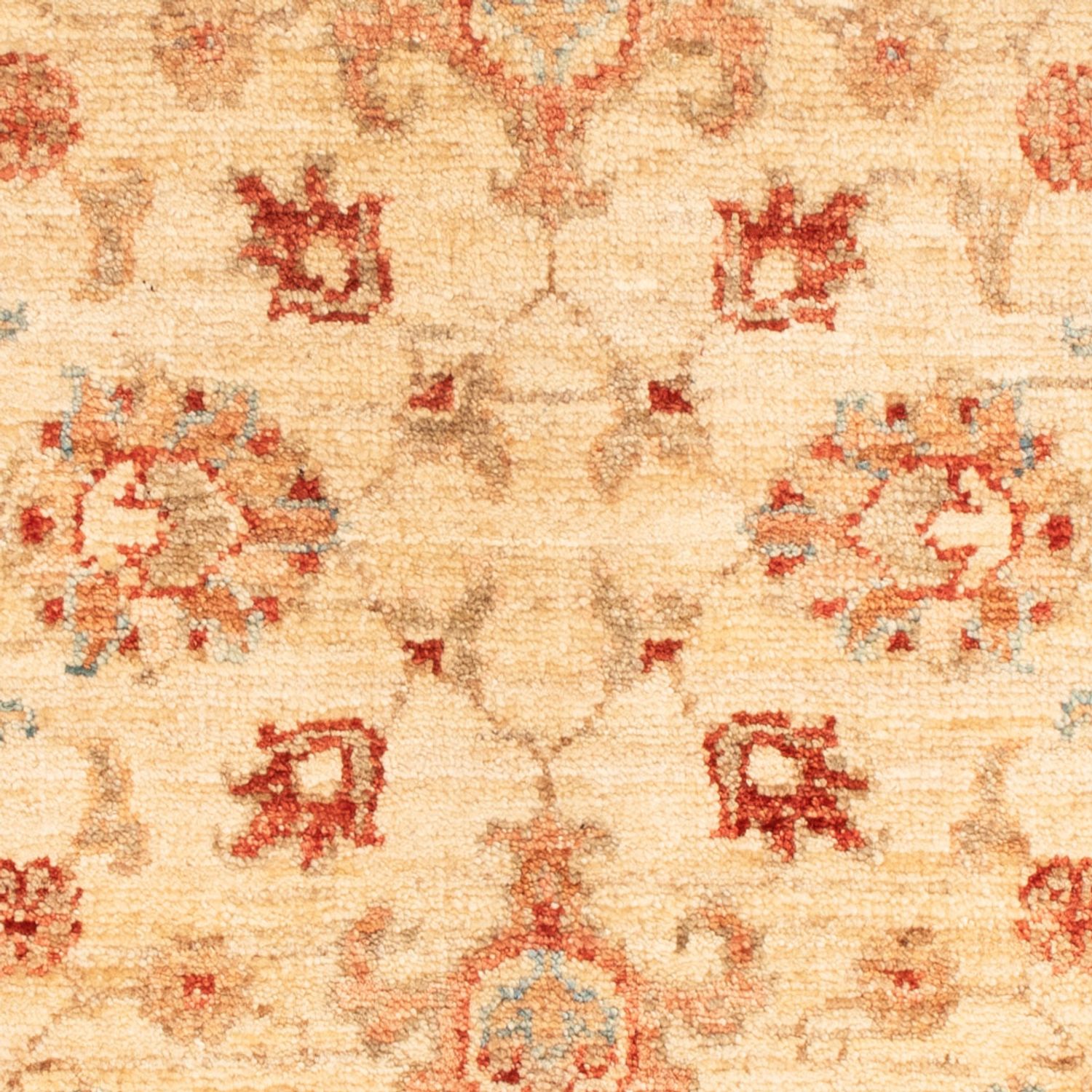 Ziegler Rug - 89 x 62 cm - beige