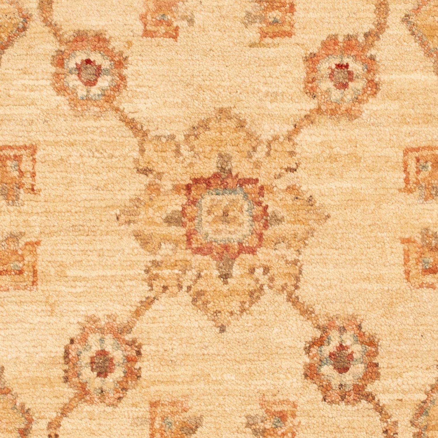 Ziegler Rug - 91 x 60 cm - beige