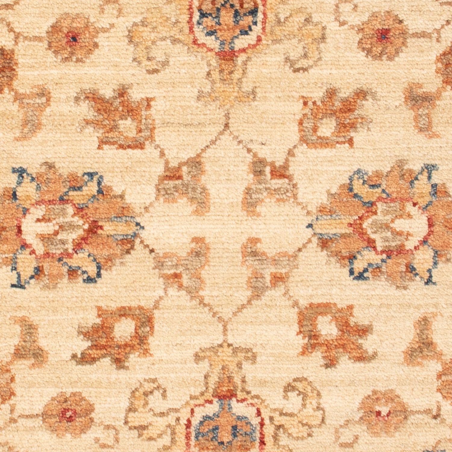 Ziegler Rug - 87 x 62 cm - beige