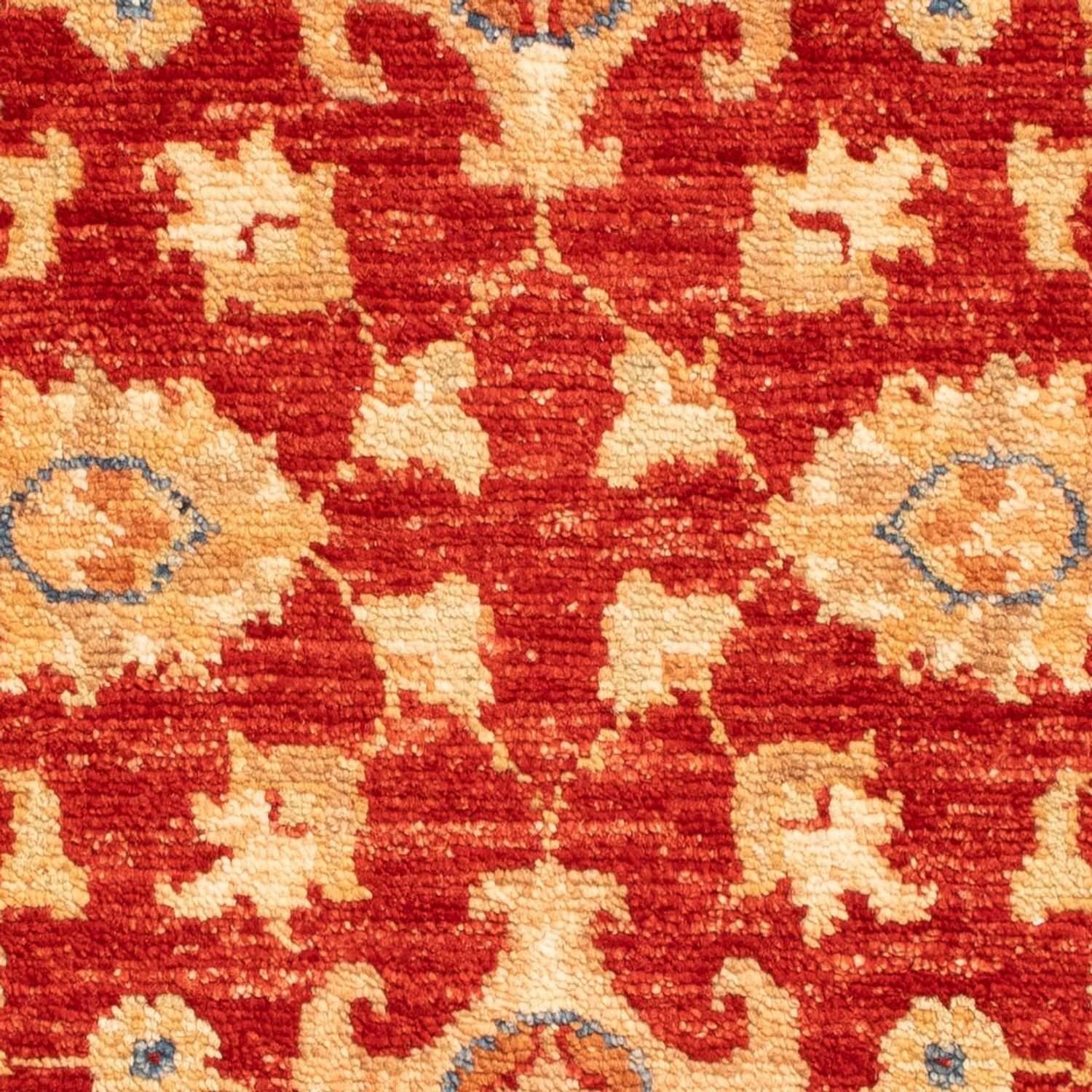 Ziegler Rug - 87 x 61 cm - red