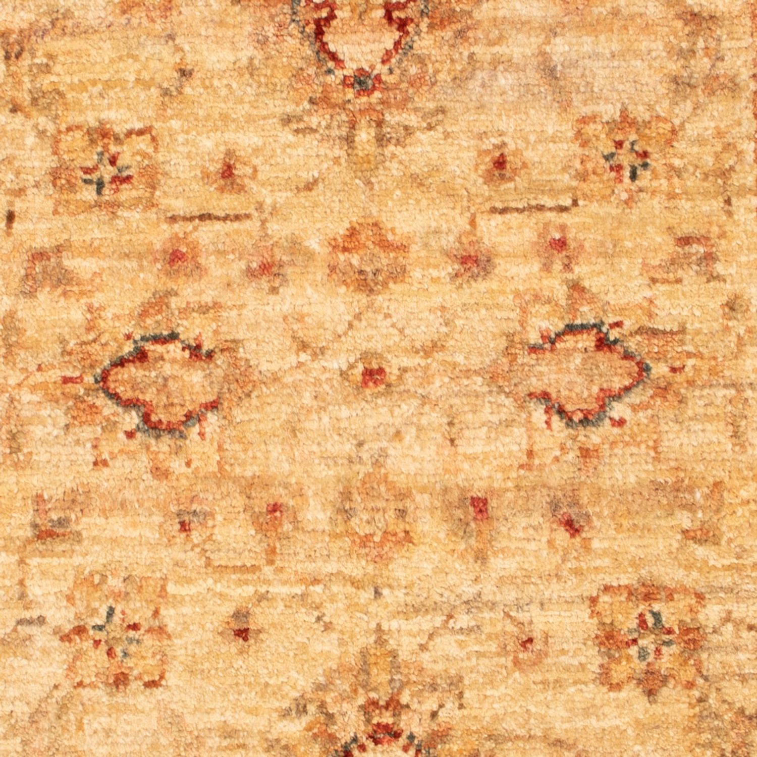 Ziegler Rug - 88 x 61 cm - beige