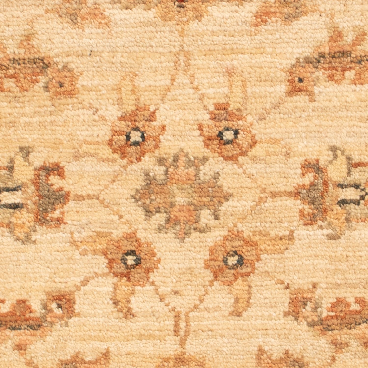 Ziegler Rug - 64 x 49 cm - beige