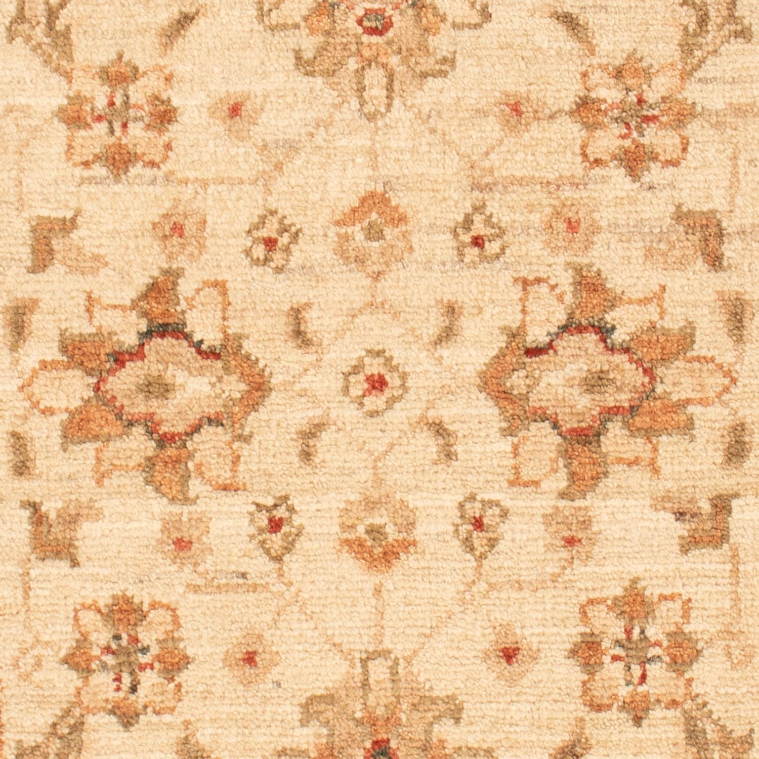 Ziegler Rug - 90 x 58 cm - beige