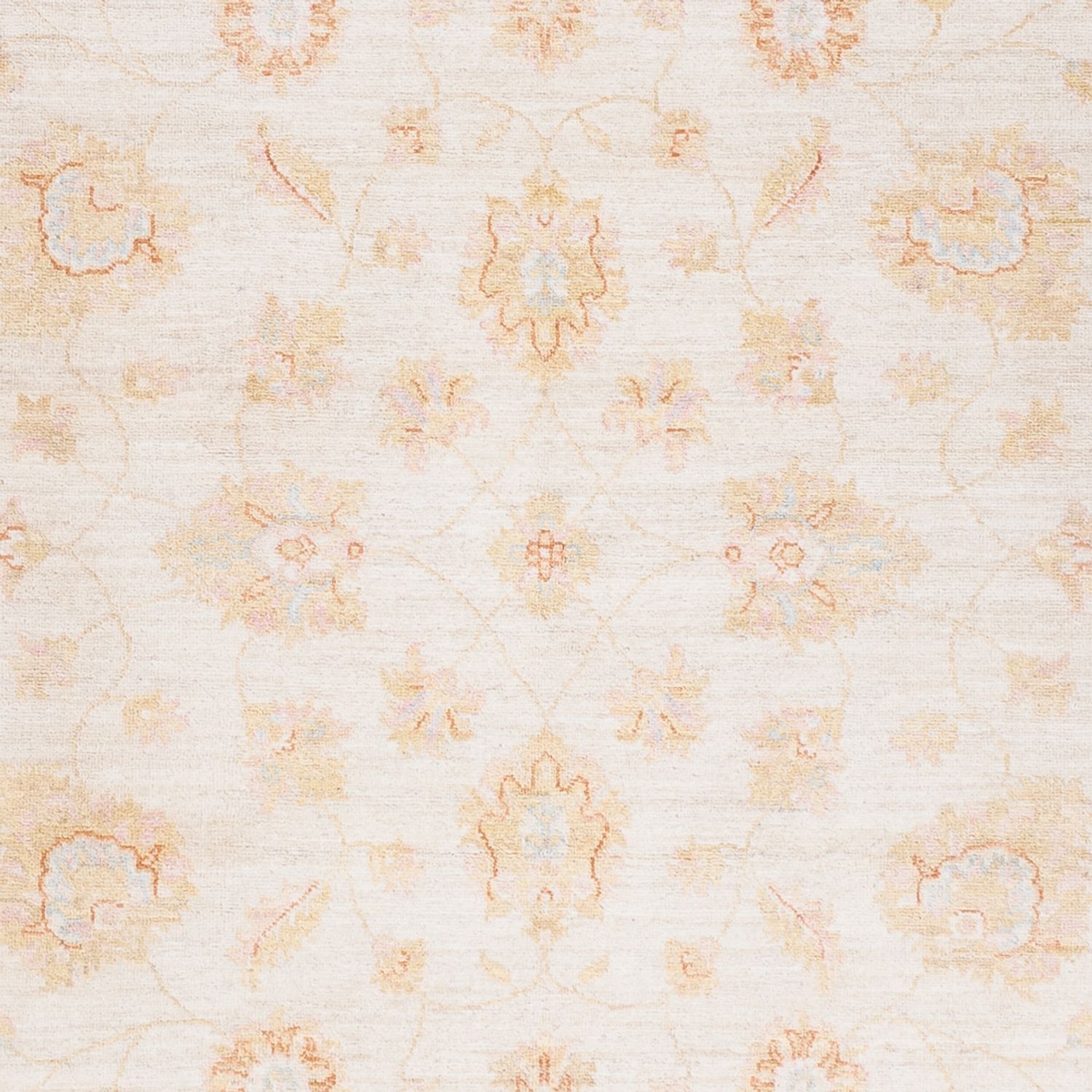 Ziegler Rug - 240 x 172 cm - cream