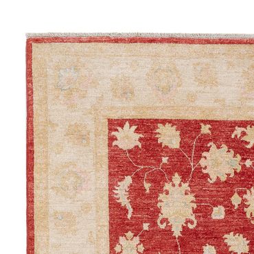 Ziegler Rug - 239 x 168 cm - red