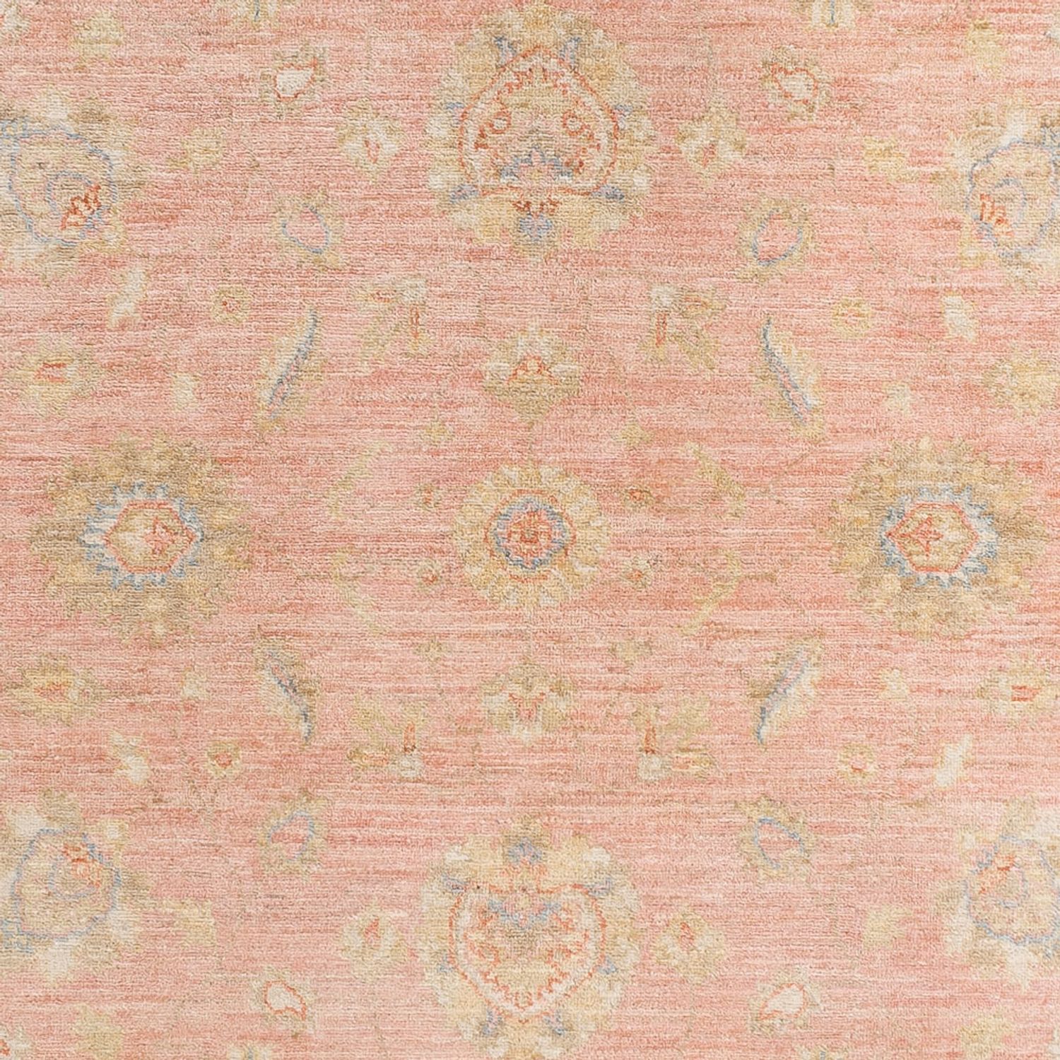 Ziegler Rug - 243 x 172 cm - light red