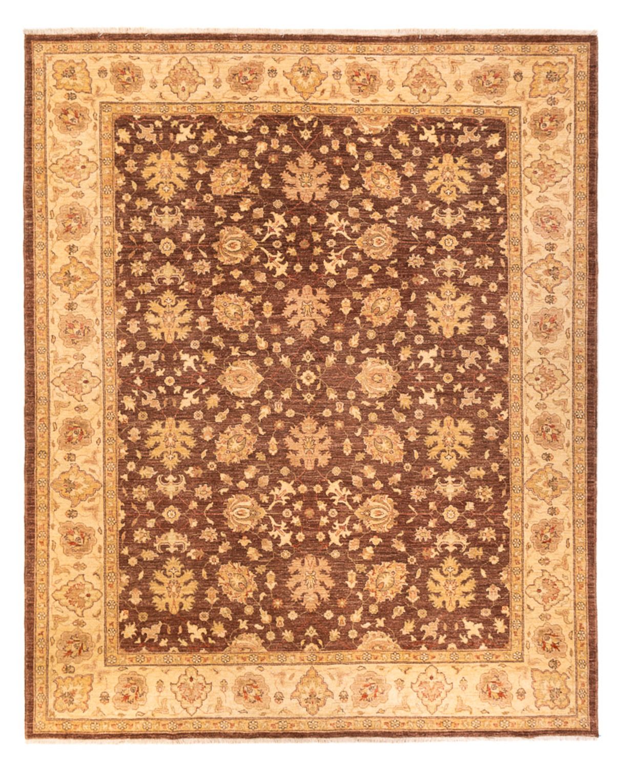 Ziegler Rug - 302 x 242 cm - dark beige