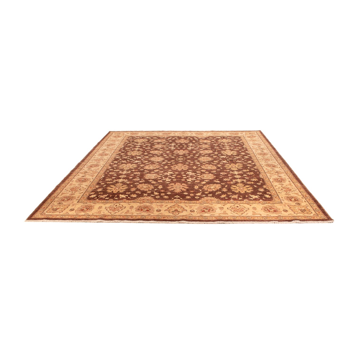 Ziegler Rug - 302 x 242 cm - dark beige