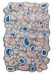 Designer Rug other shape  - 270 x 180 cm - blue