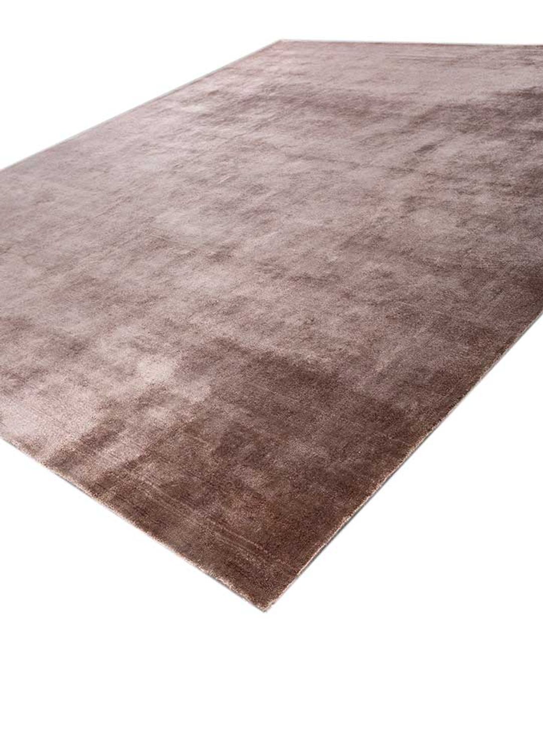 Wool Rug - 300 x 240 cm - beige