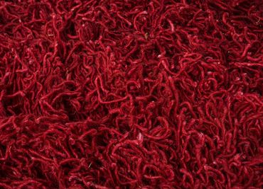 Runner Wool Rug - 365 x 124 cm - orange