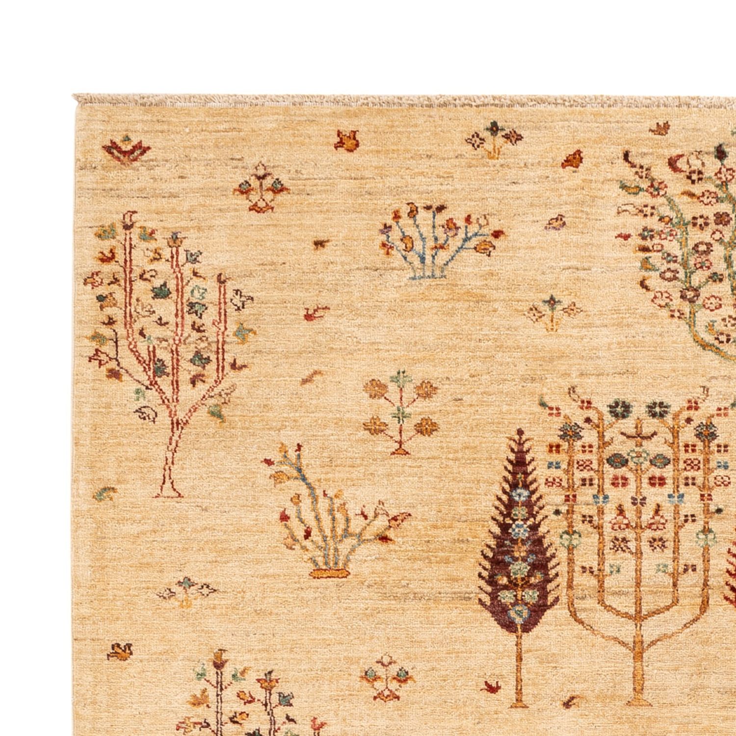 Ziegler Rug - Ariana - 244 x 173 cm - light beige