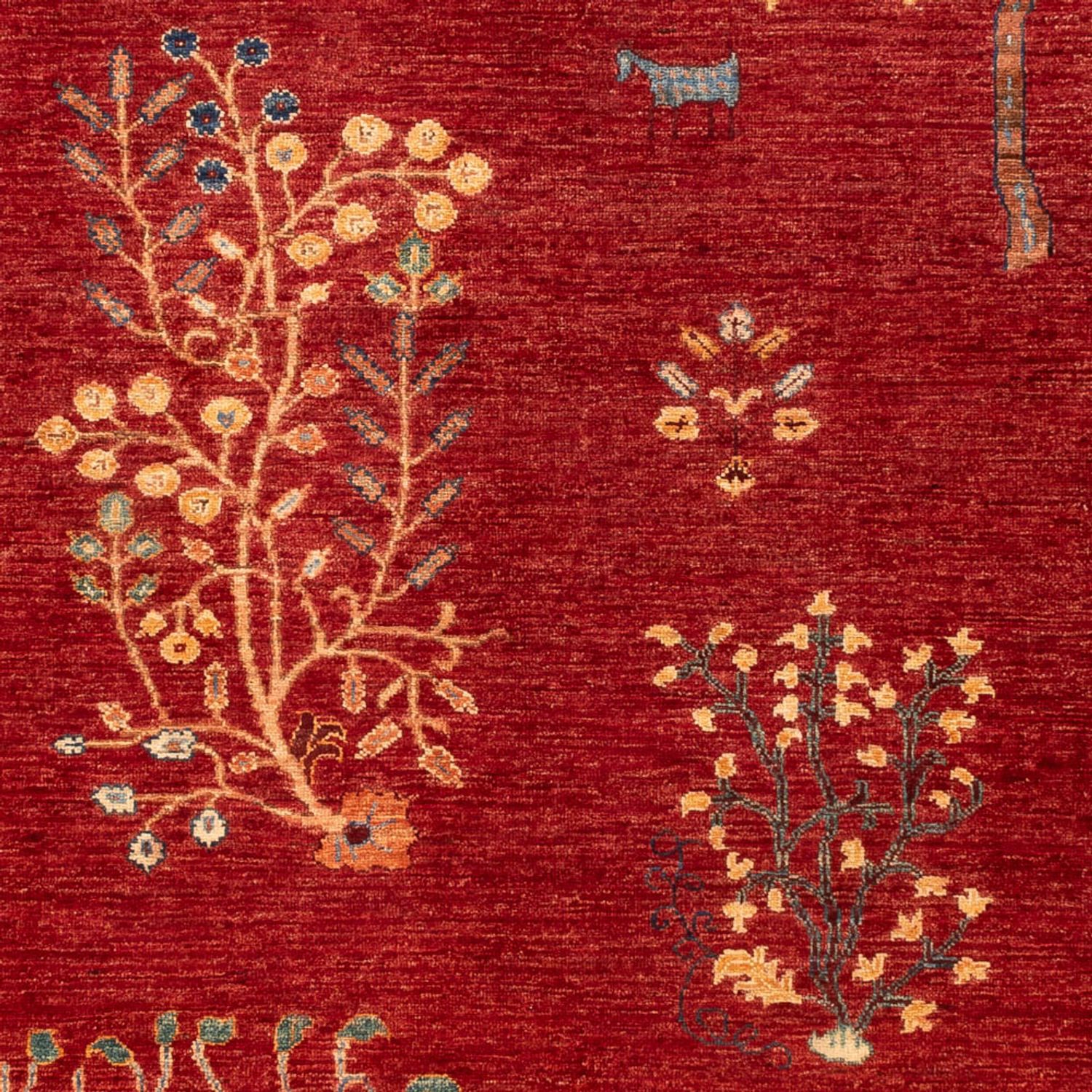 Ziegler Rug - Ariana - 244 x 173 cm - red