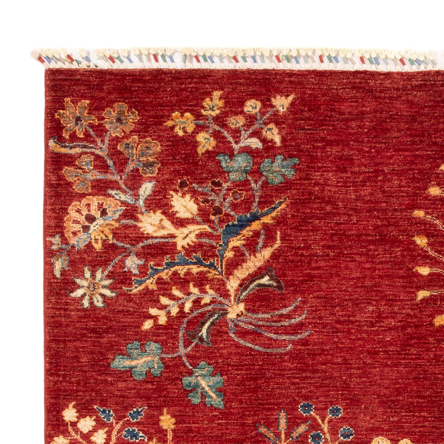 Ziegler Rug - Ariana - 244 x 173 cm - red