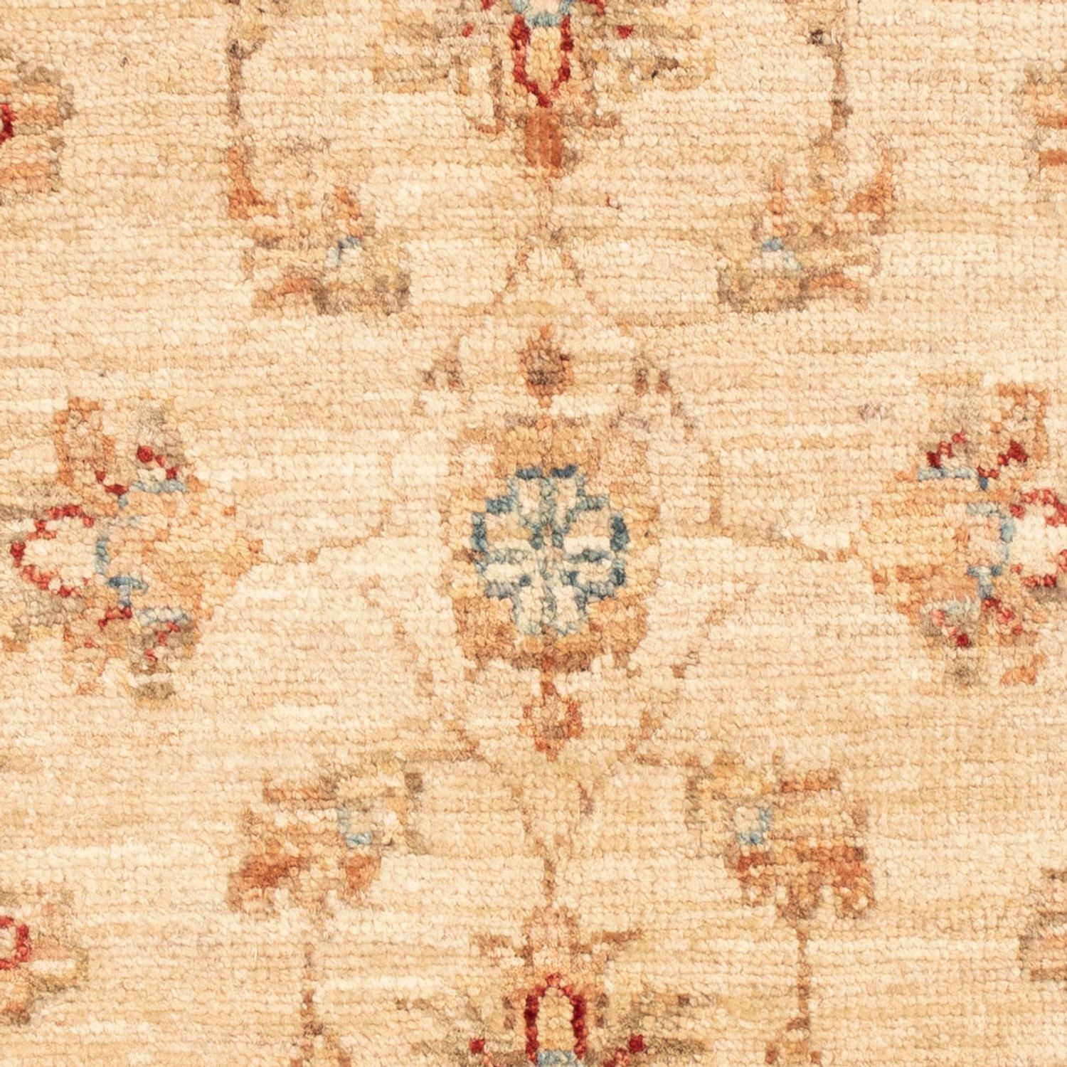 Ziegler Rug - 70 x 56 cm - beige