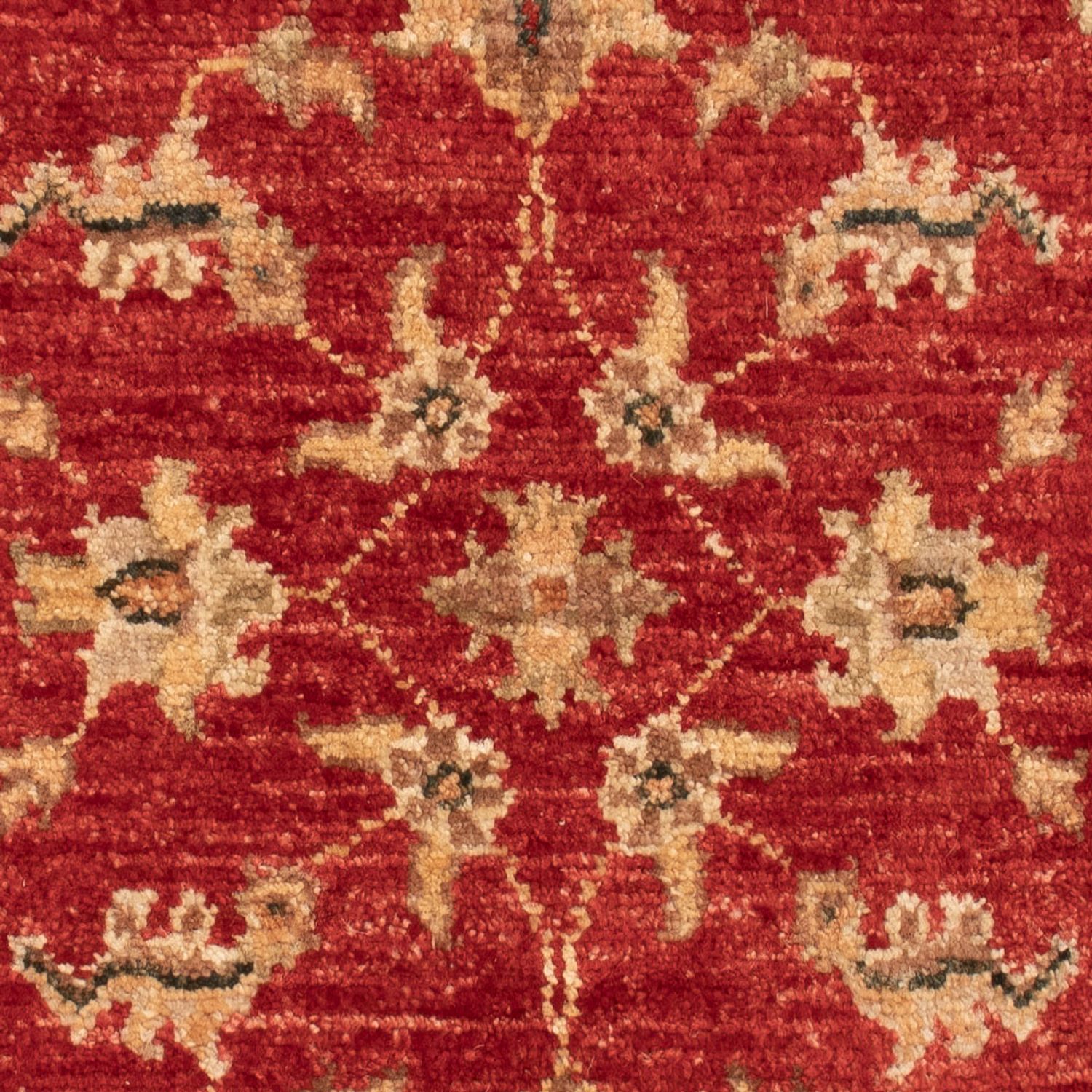 Ziegler Rug - 74 x 53 cm - red